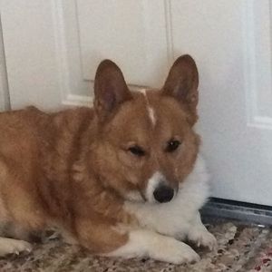 Meet your Posher, Colleen